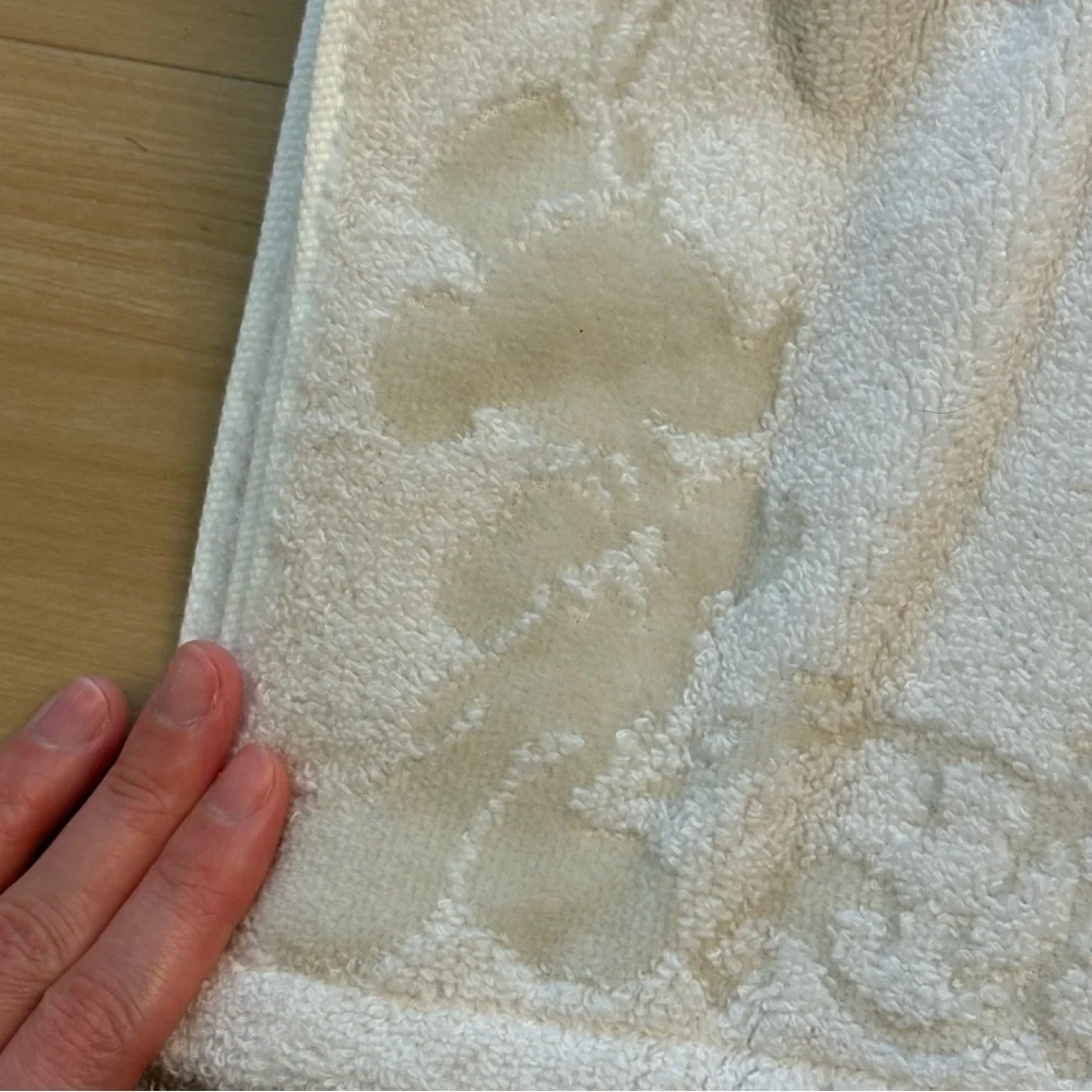 Tokyo DisneySea Fantasy Springs Hotel Towel